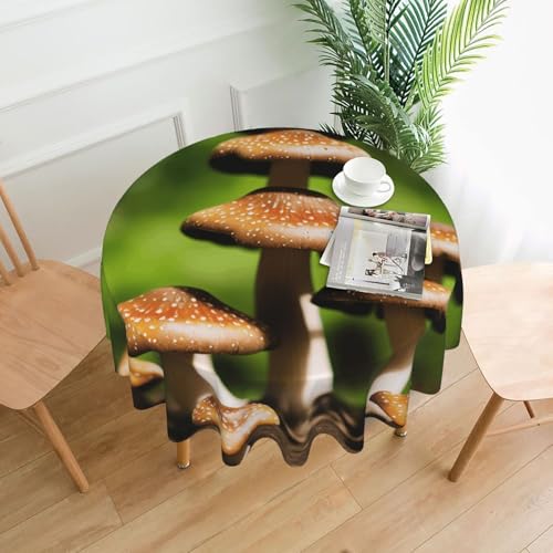 LHFIOHIRG Runde Tischdecke (Pilz), 152 cm, knitterfrei, waschbar, Tischdecke für Küche, Esszimmer, Urlaub, Party, Picknick von LHFIOHIRG