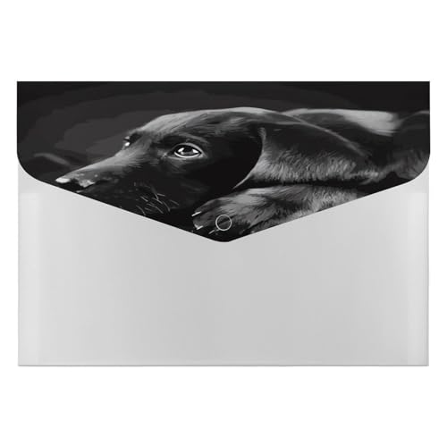 Ordner, schwarzer Labrador-Welpen-Druck, Ordner, Aktenordner, tragbarer Papier-Rechnungs-/Quittungs-Organizer, dekorative Aktenordner, geeignet für Heimbürobedarf Ordner, schwarzer Labrador-Welpen-Druck, Ordner, Aktenordner, tragbarer Papier-Rechnungs-/Quittungs-Organizer, dekorative Aktenordner, geeignet für Heimbürobedarf von LHOKDR