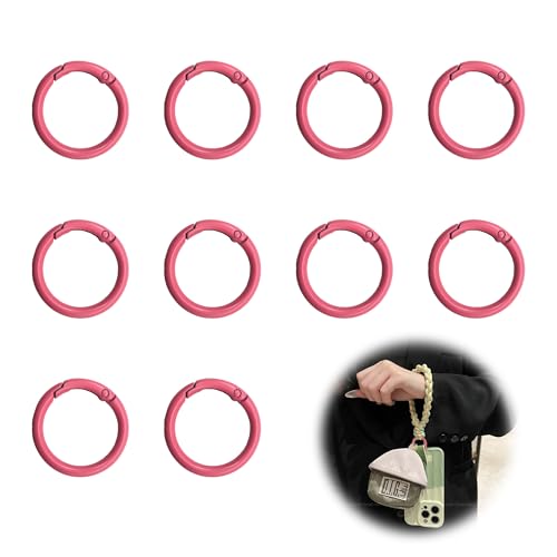 LIANCHEN 10 Pcs Runde Karabiner Schlüsselanhänger 34 mm Bunt Schlüsselring Karabiner Legierung Schlüsselring Metallring Feder O Ringe für Schlüsselkette, Rucksack, Diy Handwerk (Rosa) von LIANCHEN
