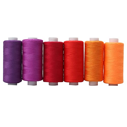 LICHENGTAI Nähgarn Set 6 Stück Polyester Nähmaschinengarn Sewing Thread Nähset Mix-Farben Garnrollen Nähgarn-Sortiment-Set für die Nähmaschine, Quilting Stitching, Hand Sewing von LICHENGTAI