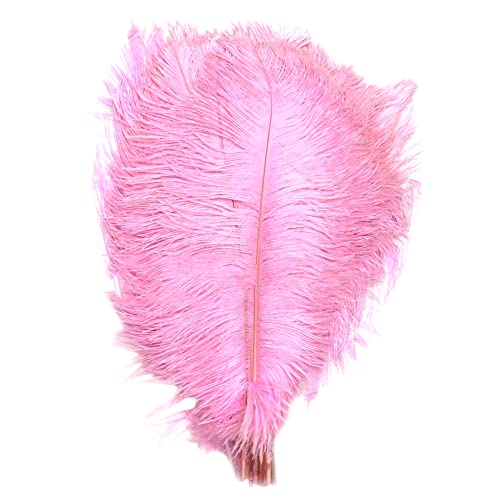 LICHENGTAI Natürliche Straußenfedern, 50 Stück Rosa Straußenfedern 20-25cm Strauß Feder Dekofedern DIY Basteln Zubehör Verschiedene Geburtstagsfeier Hochzeitsfest Partydekorationen LICHENGTAI Natürliche Straußenfedern, 50 Stück Rosa Straußenfedern 20-25cm Strauß Feder Dekofedern DIY Basteln Zubehör Verschiedene Geburtstagsfeier Hochzeitsfest Partydekorationen von LICHENGTAI