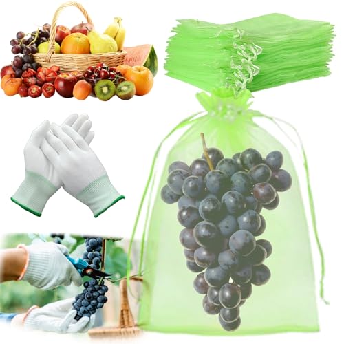 Trauben Schutzbeutel 100 Stück, 20x30CM Obst Schutzbeutel Organzabeutel mit Zugband, Pflanzen Schutzbeutel Garten Netzbeutel zum Schutz vor Wespenfrass Vögel Kirschessigfliege (Grün A) von LIEOLGOH
