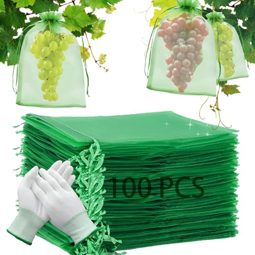 Trauben Schutzbeutel 100 Stück, 20x30CM Obst Schutzbeutel Organzabeutel mit Zugband, Pflanzen Schutzbeutel Garten Netzbeutel zum Schutz vor Wespenfrass Vögel Kirschessigfliege (Grün B) von LIEOLGOH
