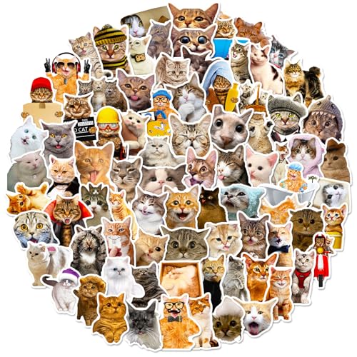 LIFEBE 100 Stück Niedliche Katze Aufkleber,Lustige, süße Internet-Katzen aufkleber für Jugendliche,Erwachsene,wasserdichte Vinyl Aufkleber für Laptop,Wasserflaschen,Scrapbooking,Mappen,Laptop LIFEBE 100 Stück Niedliche Katze Aufkleber,Lustige, süße Internet-Katzen aufkleber für Jugendliche,Erwachsene,wasserdichte Vinyl Aufkleber für Laptop,Wasserflaschen,Scrapbooking,Mappen,Laptop von LIFEBE