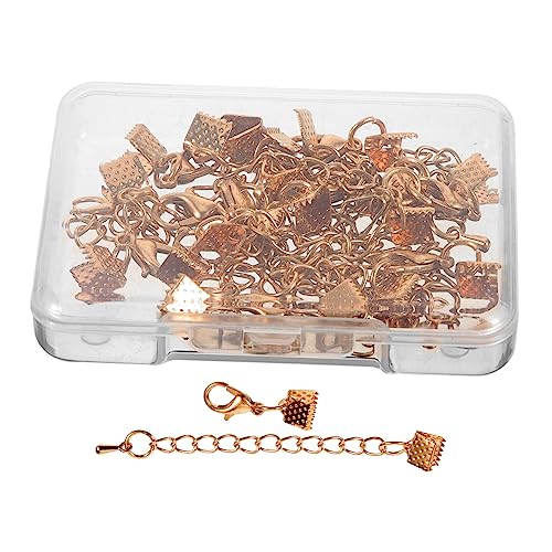 LIFKOME 10 Sätze Schmuckverschluss Ketten Enden mit Karabiner für DIY Schmuckherstellung Goldene Klemmen und Verlängerungsketten für Handgemachte Schmuckaccessoires von LIFKOME