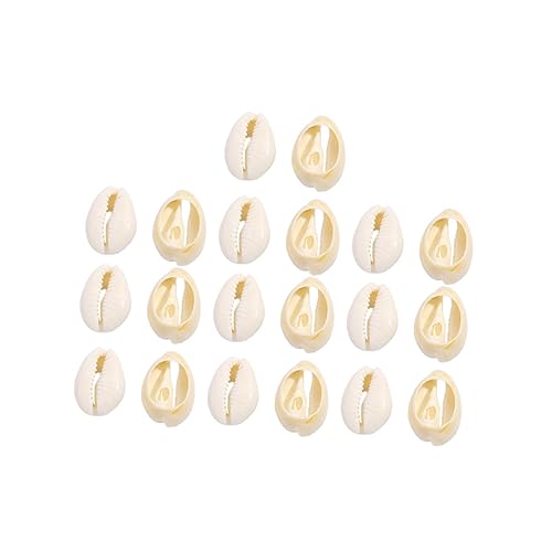 LIFKOME 20 Stück Teiliges DIY Muschel Ornament Natürliche Conch Anhänger Leichte Schmuckanhänger für Halskette Armband Ohrringe Basteln Stranddeko Vielseitig für Party Hochzeit von LIFKOME