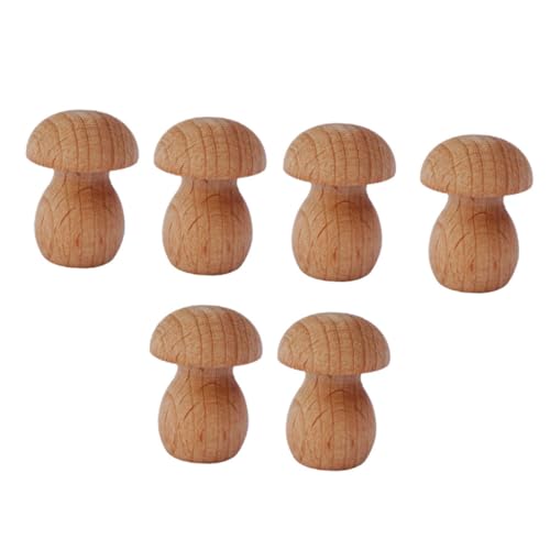 LIFKOME 6 Stück Teiliges Mini Holzpilze zum Bemalen DIY Dekoration für Blumenfenster Blumentopf Bücherregal Glatte Oberfläche Kreative Micro Landschaft und Bonsai Pilz Figuren von LIFKOME