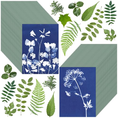 Sun Print Papers Kit Cyanotype Paper, 60 Blatt Cyanotype Papers mit 1 Blatt Acrylplatte, hochempfindliche Natur Sonne / Solar aktivierte Sonne Druck Kunstpapier für Kunst Handwerk DIY Projekt Sun Print Papers Kit Cyanotype Paper, 60 Blatt Cyanotype Papers mit 1 Blatt Acrylplatte, hochempfindliche Natur Sonne / Solar aktivierte Sonne Druck Kunstpapier für Kunst Handwerk DIY Projekt von LIGHOON