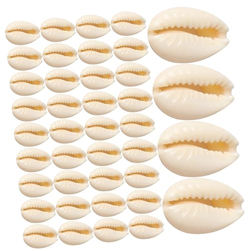 LIGHTAOTAO 100Stücke Muschelperlen DIY Bastelmaterial für Armbänder Halsketten und Dekoration Exquisite Schmuckherstellung und Aquarien für Handwerksprojekte LIGHTAOTAO 100Stücke Muschelperlen DIY Bastelmaterial für Armbänder Halsketten und Dekoration Exquisite Schmuckherstellung und Aquarien für Handwerksprojekte von LIGHTAOTAO