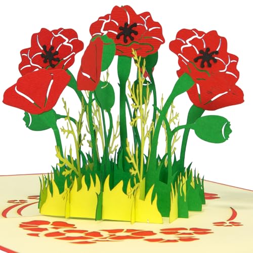 LINPOPUP®, LIN17612, Pop Up Karte Blume, POP UP Karten Geburtstag, Pop Up Geburtstagskarte, Grußkarten Blumen, Klappkarte Geburtstagskarte, Muttertagskarte, Danke, Gute Besserung, Mohn, N355 von LINPOPUP