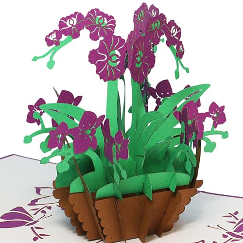 LINPOPUP® Pop-Up Karte Blume-Orchidee, 3D - Blumenkarte - Geburtstagskarte, Grußkarte - Blume - Karte, Klappkarte Viel Glück, Wellness - Gutschein, Orchidee - Blumenkorb, N358 von LINPOPUP