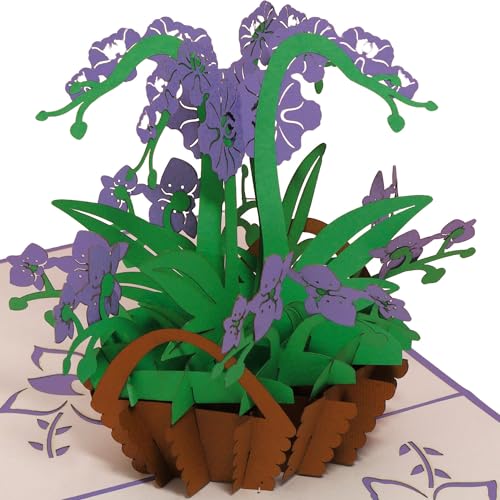 LINPOPUP® Pop-Up Karten Geburtstag, Orchidee Pop Up Karte Blumen, Pop Up Geburtstagskarte, 3D Grußkarten Blume Klappkarte Geburtstagskarte Viel Glück Gute Besserung, Muttertagskarte, N359 LINPOPUP® Pop-Up Karten Geburtstag, Orchidee Pop Up Karte Blumen, Pop Up Geburtstagskarte, 3D Grußkarten Blume Klappkarte Geburtstagskarte Viel Glück Gute Besserung, Muttertagskarte, N359 von LINPOPUP