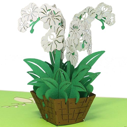 LINPOPUP® Pop-Up Karte Blumen - Orchidee, Grußkarte Geburtstag, 3D Geburtstagskarte, Blumenstrauß, Klappkarte, Abschiedskarte, viel Glück Gute Besserung, Orchidee Weiß, N361 LINPOPUP® Pop-Up Karte Blumen - Orchidee, Grußkarte Geburtstag, 3D Geburtstagskarte, Blumenstrauß, Klappkarte, Abschiedskarte, viel Glück Gute Besserung, Orchidee Weiß, N361 von LINPOPUP