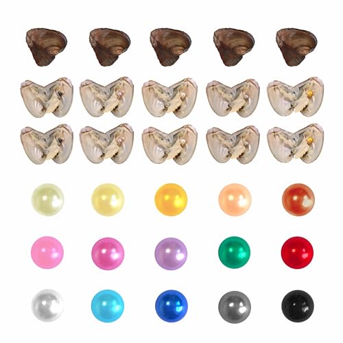 Austern mit Perle im Inneren, runde zierliche Kunstperlen, bedeutungsvolle Farben, Perlen zum Öffnen für Schmuckherstellung, Handwerk, Geschenke (rund, ABS, 8 mm), 50 Stück von LINDO