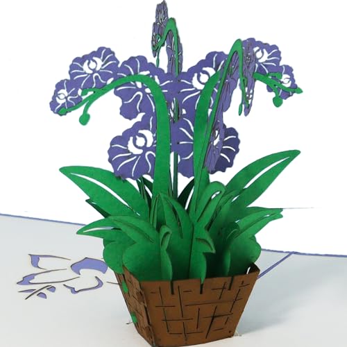 LINPOPUP®, LIN17638, Pop Up Karte Blumen, POP UP Karten Geburtstag, Geburtstagskarte, 3D Grußkarten Klappkarte, viel Glück, Gute Besserung, Abschiedskarte, Gutschein, Orchidee, N368 von LINPOPUP