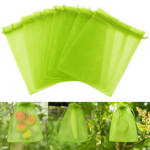 LINSOCLE 100 Stück Traubenschutzbeutel 40x30cm, Weintrauben Schutzbeutel, Obst Schutzbeutel, Organzabeutel groß zum Schutz von Obst vor Insekten und Vögeln LINSOCLE 100 Stück Traubenschutzbeutel 40x30cm, Weintrauben Schutzbeutel, Obst Schutzbeutel, Organzabeutel groß zum Schutz von Obst vor Insekten und Vögeln von LINSOCLE
