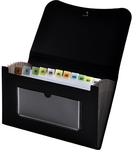Lion Mini Fächermappe mit 13 Fächern, Schwarz, 1 Stück (94300-BK) von LION
