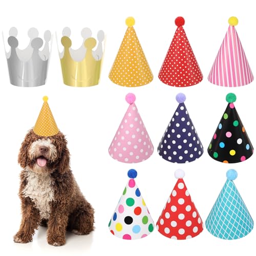 LIQWEI 11 Stück Partyhüte Geburtstag Set, Bunte Kindergeburtstag Party Kegel Hüte mit Pompoms Partyhut Geburtstag Krone Party-Dekorationen für Familienfeiern Kinder Erwachsene Haustiere LIQWEI 11 Stück Partyhüte Geburtstag Set, Bunte Kindergeburtstag Party Kegel Hüte mit Pompoms Partyhut Geburtstag Krone Party-Dekorationen für Familienfeiern Kinder Erwachsene Haustiere von LIQWEI