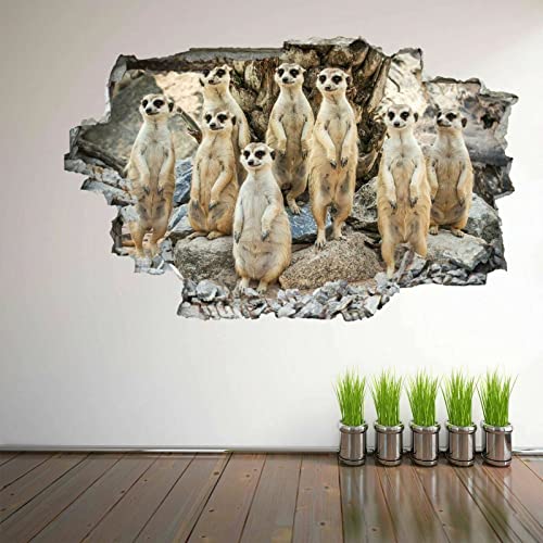 Erdmännchen Tier 3D Wandkunst Aufkleber Wandtattoo Poster Kinderzimmer Dekor DL36 von LIUWW