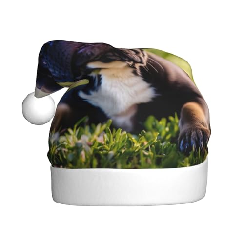 LIXLZH Weihnachtsmütze mit niedlichem Mops-Motiv, Unisex, für Erwachsene, Unisex, niedlich, auffällig LIXLZH Weihnachtsmütze mit niedlichem Mops-Motiv, Unisex, für Erwachsene, Unisex, niedlich, auffällig von LIXLZH