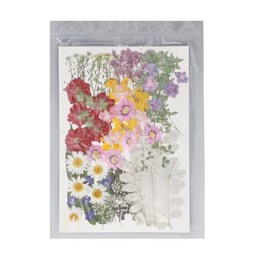 Trockengepresste Blumen DIY Crafts Botanical Kit für Schmuckherstellung von LIYJTK