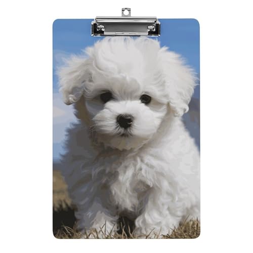 Bichon Frisé-Klemmbrett für Büro, Zuhause, Acryl, A4-Klemmbrett mit Edelstahl-Aufhängelöchern, langlebige Klemmbretter für Notizen, Prüfungen, Noten, Noten, 31,8 x 21,6 cm Bichon Frisé-Klemmbrett für Büro, Zuhause, Acryl, A4-Klemmbrett mit Edelstahl-Aufhängelöchern, langlebige Klemmbretter für Notizen, Prüfungen, Noten, Noten, 31,8 x 21,6 cm von LKHDS