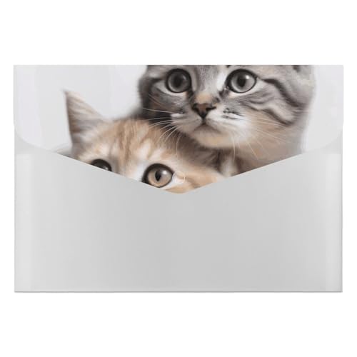 Fächermappe mit 6 Fächern, Katzen-Akkordeon-Aktenordner, A4, Briefgröße, tragbarer Dokumenten-Organizer für Quittungen, Rechnungen, Bürobedarf Fächermappe mit 6 Fächern, Katzen-Akkordeon-Aktenordner, A4, Briefgröße, tragbarer Dokumenten-Organizer für Quittungen, Rechnungen, Bürobedarf von LKHDS