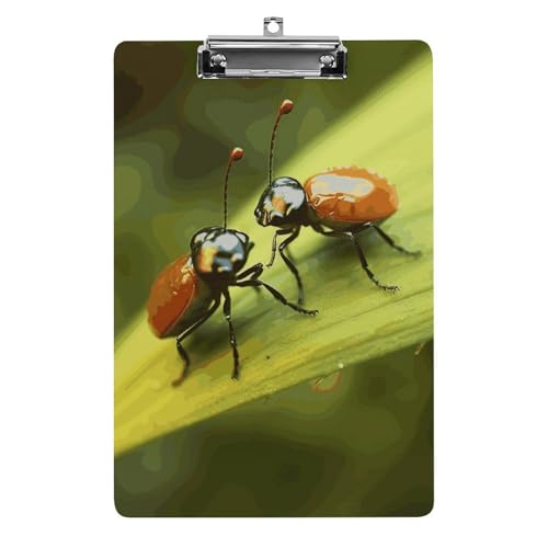 Insekten-Liebes-Klemmbrett für Büro, Zuhause, Acryl-Klemmbrett mit Aufhängelöchern aus Edelstahl, langlebige Klemmbretter für Notizen, Prüfungen, Noten, Noten, 31,8 x 21,6 cm Insekten-Liebes-Klemmbrett für Büro, Zuhause, Acryl-Klemmbrett mit Aufhängelöchern aus Edelstahl, langlebige Klemmbretter für Notizen, Prüfungen, Noten, Noten, 31,8 x 21,6 cm von LKHDS
