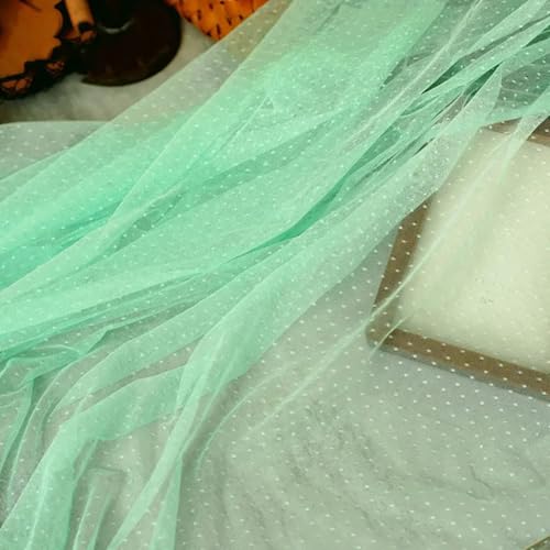 LKXHarleya Weicher Stretch-Spitzenstoff, 100 x 160 cm Gepunkteter Netzstoff für Brautkleider, Kostüme, Nähen, Basteln, Mintgrün LKXHarleya Weicher Stretch-Spitzenstoff, 100 x 160 cm Gepunkteter Netzstoff für Brautkleider, Kostüme, Nähen, Basteln, Mintgrün von LKXHarleya
