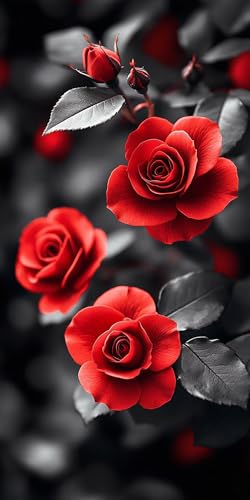 5D Diamant Painting Roses Diamond Painting Kinder Pflanze, DIY Runden Steine Mosaikherstellung Basteln Erwachsene Anfänger Set für Heim Schlafzimmer Wand Deko Wohnzimmer, Geschenke 50x100cm 0402-CX 5D Diamant Painting Roses Diamond Painting Kinder Pflanze, DIY Runden Steine Mosaikherstellung Basteln Erwachsene Anfänger Set für Heim Schlafzimmer Wand Deko Wohnzimmer, Geschenke 50x100cm 0402-CX von LLEDAOZN