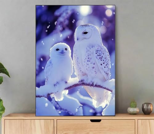 Eule Malen Nach Zahlen Erwachsene, Malen Nach Zahlen Winter Muster, DIY Handgemalt Leinwand Ölgemälde Set für Adult Anfänger, mit 3 Pinseln und Acrylfarbe, Weihnachtsdeko Schlafzimmer, 40x50cm Ld5-421 von LLEDAOZN