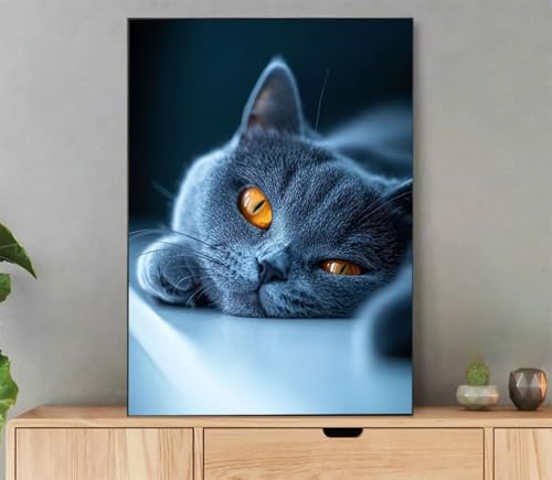Malen Nach Zahlen Erwachsene Katze Paint by Numbers Tier Malen Nach Zahlen mit Rahmen 100x135cm Leinwand Ölgemälde Set mit Pinseln und Acrylfarbe für Zimmer Deko Wohnzimmer, Geschenke Frauen Ld7-672 von LLEDAOZN