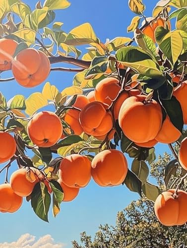 Obst Diamond Painting Erwachsene, 5D Diamant Painting Bilder Pflanze, DIY Runden Steine Mosaikherstellung Basteln Erwachsene Anfänger Set, Zimmer Wand Deko Aesthetic, Geschenke Frau 70 x 95cm 0G-8 von LLEDAOZN