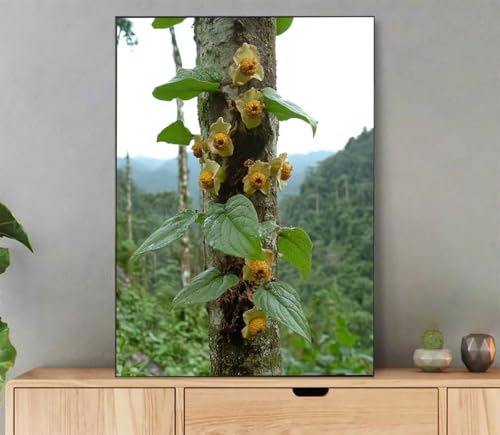 Pflanze Malen Nach Zahlen Erwachsene, Malen Nach Zahlen Landschaft Muster, DIY Handgemalt Leinwand Ölgemälde Set für Adult Anfänger, mit Pinseln und Acrylfarbe, Deko Schlafzimmer, 60x80cm LZ-8231 von LLEDAOZN