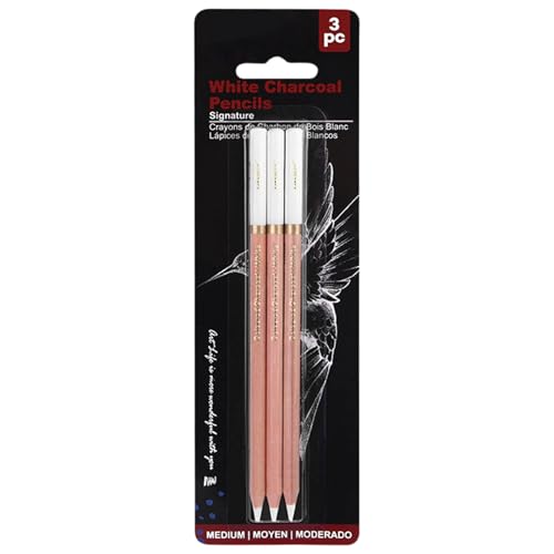 2/3 PCs/Set Sketch Stifte Highlight Highlight Pen White Charcoal Bleistift Zeichnung Stifte Professionelle Skizzierung 2/3 PCs/Set Sketch Stifte Highlight Highlight Pen White Charcoal Bleistift Zeichnung Stifte Professionelle Skizzierung von LLINthy