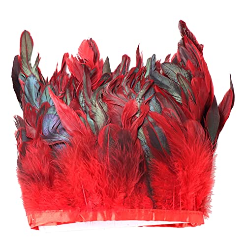 Natürliche Hahn-Bordüre, 10,2–15,2 cm breit, Bastelfransenborte, 91 cm, für Kleidung, Kleider, Dekorationen Natürliche Hahn-Bordüre, 10,2–15,2 cm breit, Bastelfransenborte, 91 cm, für Kleidung, Kleider, Dekorationen von LLINthy