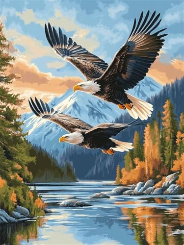 Malen Nach Zahlen Erwachsene Adler Flüsse, Malen Nach Zahlen mit Pinseln und Acrylfarben, DIY Paint by Numbers 30 x 40 cm, Malen-Nach-Zahlen Leinwand für Anfänger, Home Wand Decor (Ohne Rahmen)-YH673 von LLWYH