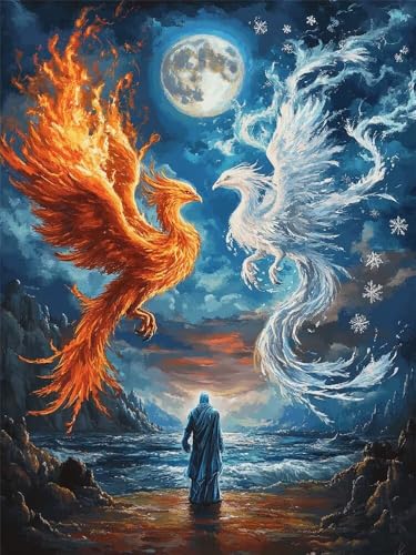 Malen Nach Zahlen Erwachsene Groß 30 x 40 cm, Malen Nach Zahlen Wasser Und Feuer Phönix, DIY Paint by Numbers, Handgemalt Ölgemälde Kit Mit Pinseln und Acrylfarbe Als Geschenk (Ohne Rahmen) -YH674 von LLWYH