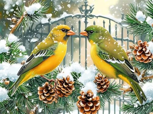 Malen Nach Zahlen Erwachsene Groß 40 x 30 cm, Malen Nach Zahlen Vogel Winter, DIY Paint by Numbers, Handgemalt Ölgemälde Kit Mit Pinseln und Acrylfarbe für Kinder Als Geschenk (Ohne Rahmen) -YH458 von LLWYH