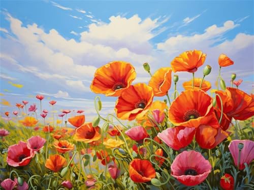Malen Nach Zahlen Erwachsene Groß 40x30 cm, Malen Nach Zahlen Mohn Blauer Himmel, DIY Paint by Numbers Handgemalt Ölgemälde Leinwand Kit Mit Pinseln und Acrylfarbe Als Geschenk (Ohne Rahmen) -YH448 von LLWYH