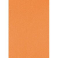 LMG Rückwände für Bindemappen orange, DIN A4 300 g/qm, 100 St. von LMG