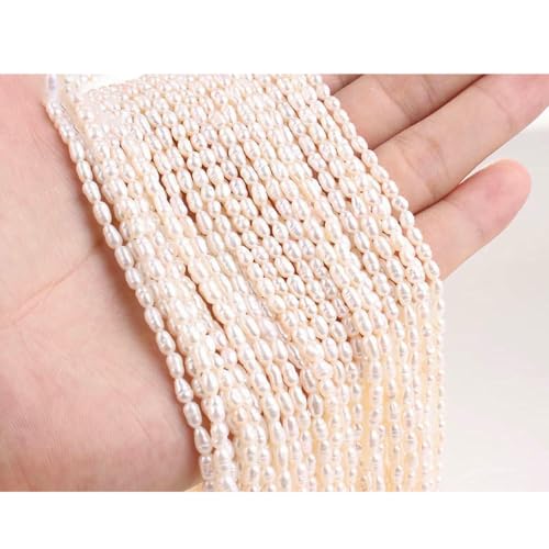 Unregelmäßige natürliche Süßwasserperlen, Stern, Zahnstocher, Blumen-Abstandshalter, für die Schmuckherstellung, DIY-Halsketten und Armbänder, 3–3,5 Reis, 2A Unregelmäßige natürliche Süßwasserperlen, Stern, Zahnstocher, Blumen-Abstandshalter, für die Schmuckherstellung, DIY-Halsketten und Armbänder, 3–3,5 Reis, 2A von LNHBZ