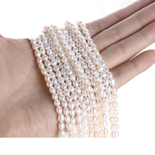 Unregelmäßige natürliche Süßwasserperlen, Stern, Zahnstocher, Blumen-Abstandshalter, für die Schmuckherstellung, DIY-Halsketten und Armbänder, 4–5, gerades Loch, 5 Ap Unregelmäßige natürliche Süßwasserperlen, Stern, Zahnstocher, Blumen-Abstandshalter, für die Schmuckherstellung, DIY-Halsketten und Armbänder, 4–5, gerades Loch, 5 Ap von LNHBZ
