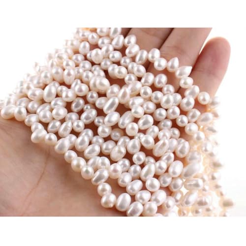 Unregelmäßige natürliche Süßwasserperlen, Stern, Zahnstocher, Blumen-Abstandshalter, für die Schmuckherstellung, DIY-Halsketten und Armbänder, 4A, unregelmäßig, 5375 Unregelmäßige natürliche Süßwasserperlen, Stern, Zahnstocher, Blumen-Abstandshalter, für die Schmuckherstellung, DIY-Halsketten und Armbänder, 4A, unregelmäßig, 5375 von LNHBZ