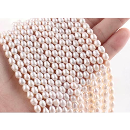 Unregelmäßige natürliche Süßwasserperlen, Stern, Zahnstocher, Blumen-Abstandshalter, für die Schmuckherstellung, DIY-Halsketten und Armbänder, 5–5,5 Reis, 3A Unregelmäßige natürliche Süßwasserperlen, Stern, Zahnstocher, Blumen-Abstandshalter, für die Schmuckherstellung, DIY-Halsketten und Armbänder, 5–5,5 Reis, 3A von LNHBZ