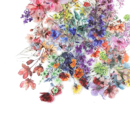 LNSYSNS Blumen Aufkleber, Vintage Sticker 200 Stück – farbige Scrapbook-Sticker für Alben, Tagebücher, Handys, Sticker Set LNSYSNS Blumen Aufkleber, Vintage Sticker 200 Stück – farbige Scrapbook-Sticker für Alben, Tagebücher, Handys, Sticker Set von LNSYSNS