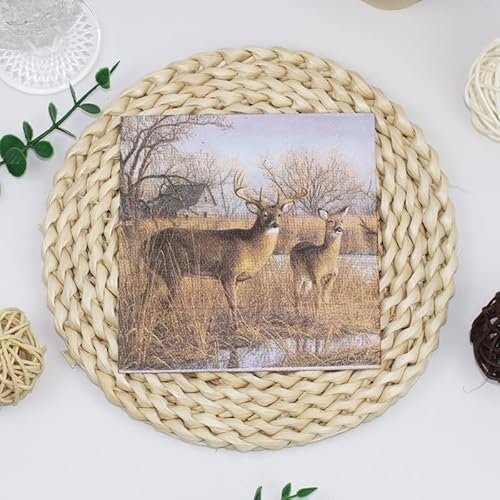 Servietten Braune Tiere Servietten Hochzeit Geburtstag Kindergeburtstag Cocktailservietten Geburtstagsservietten Party Napkins Disposable Papierservietten Tischdeko Pack of 20(33x33cm) von LNXSESN