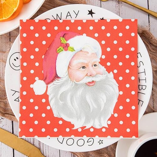 Servietten Santa Claus White Servietten Hochzeit Geburtstag Kindergeburtstag Cocktailservietten Geburtstagsservietten Party Napkins Disposable Weich Papierservietten Tischdeko Pack of 10(33x33cm) von LNXSESN