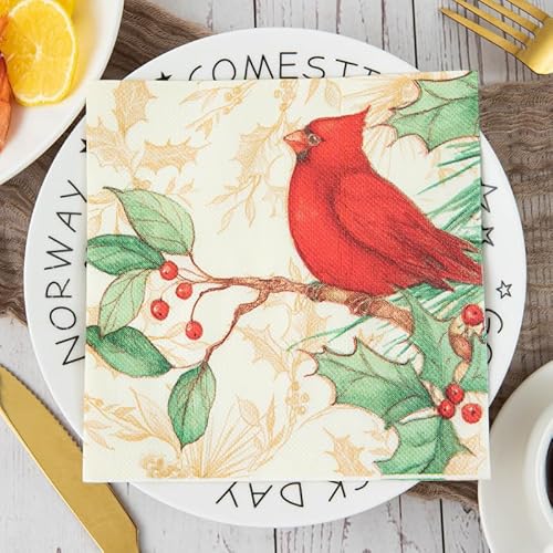 Servietten Tier Grün Orange Servietten Hochzeit Geburtstag Kindergeburtstag Cocktailservietten Geburtstagsservietten Party Napkins Disposable Weich Papierservietten Tischdeko Pack of 30(33x33cm) von LNXSESN