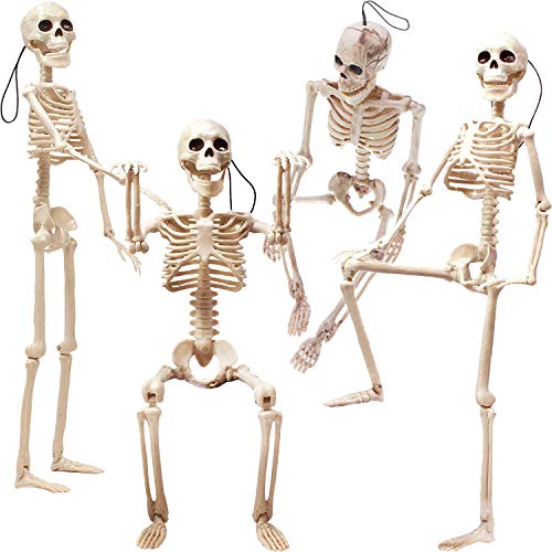 4 Stück 40 cm große Halloween-Skelette, Ganzkörper-bewegliche Skelette, menschliche Kunststoffknochen mit beweglichen Gelenken für gruselige Innen- und Außendekorationen 4 Stück 40 cm große Halloween-Skelette, Ganzkörper-bewegliche Skelette, menschliche Kunststoffknochen mit beweglichen Gelenken für gruselige Innen- und Außendekorationen von LOCOLO